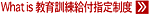What's ����P�����t�w��u��