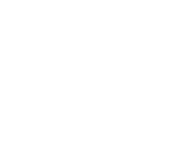 出身地や、性別などの「違い」。自分自身、日本にいると考えることは多い。以前より議論も多く、進歩も感じる。希望も感じる。でも、いまはまだ「違い」ばかりがフィーチャーされている気もする。チームのメンバーも、きっと職場のメンバーも、一人ひとり、育ってきた背景はちがう。けれどそんなの当たり前。多くの「同じ」を意識した方が、団結できる。強くなれる。私が願うのは、みんなが同じ人間として尊敬しあえる社会だ。その上で、一人ひとり自分の生き方を常に立ち止まって考えられる社会だ。激動の時代。だからこそ一緒に、新しい生き方を探していきたい。