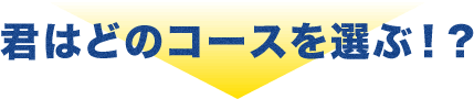 卒業後の進路のためのサポートも充実！