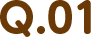 Q.01