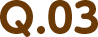 Q.03