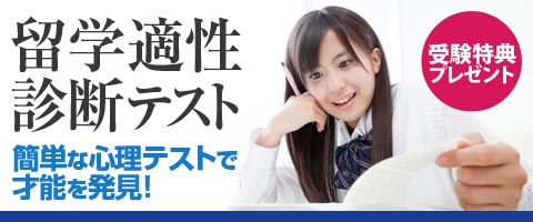 留学適性診断テスト ヒューマン国際大学機構 留学適性診断テスト ヒューマン国際大学機構